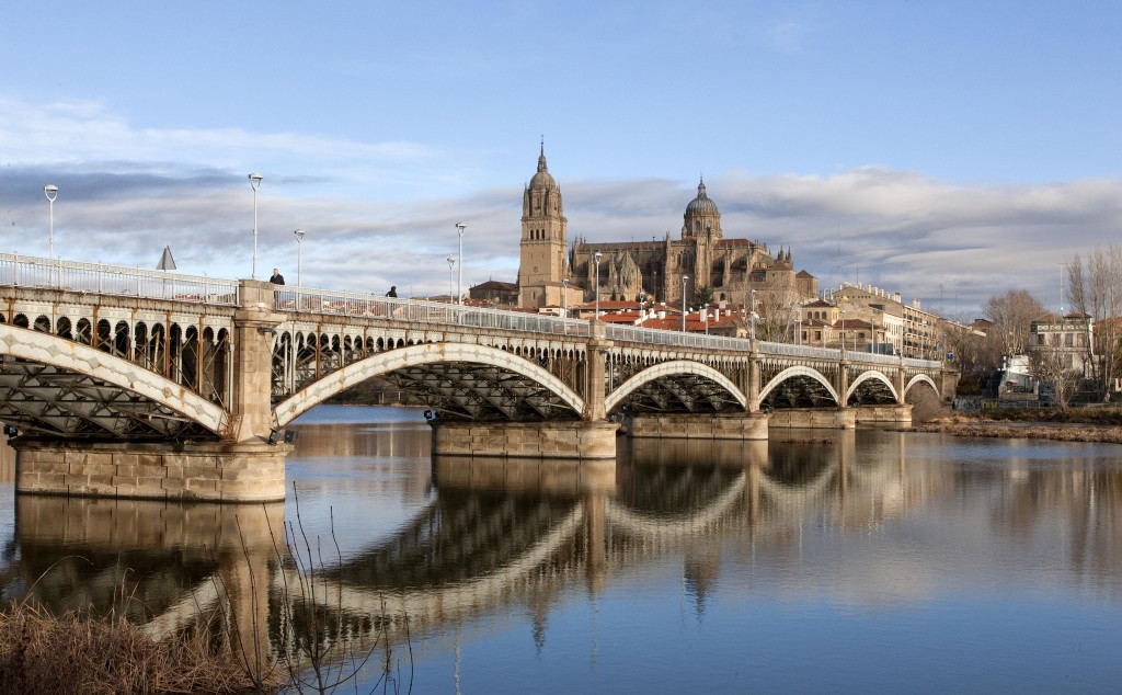 Puente Enrique Estevan de Salamanca. Foto: David Arranz