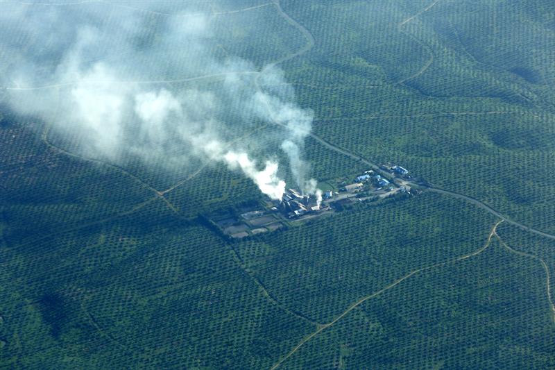 Vista aérea de una fábrica de aceite de palma en el límite de la selva del Parque Nacional de Gunung Leuser en Aceh (Indonesia)